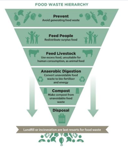 6 Facts And figures About Food Waste In Ireland
