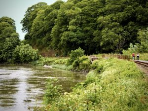 10 Easy Beginner Cycling Routes in Ireland