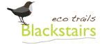 Blackstairs Eco Trails Gold Certificate Sustainable Travel Ireland