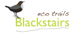 Blackstairs Eco Trails Gold Certificate Sustainable Travel Ireland