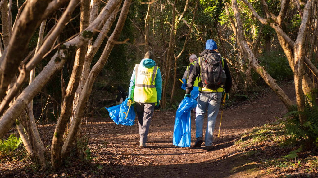 Irish organisations that support biodiversity