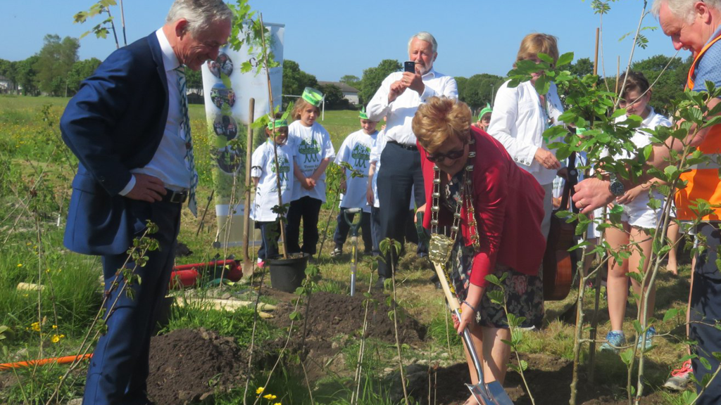 Irish organisations that support biodiversity