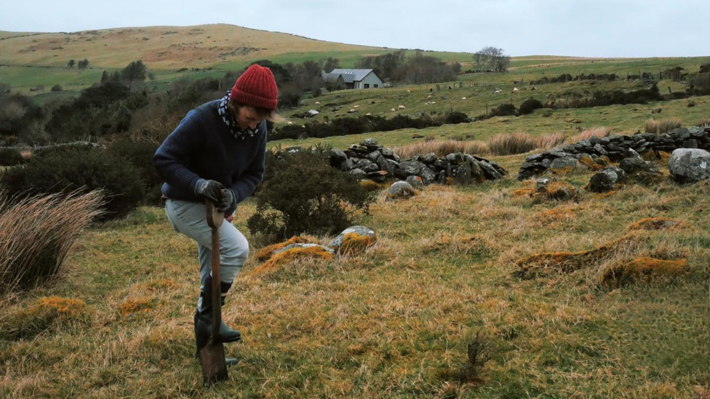 Irish organisations that support biodiversity