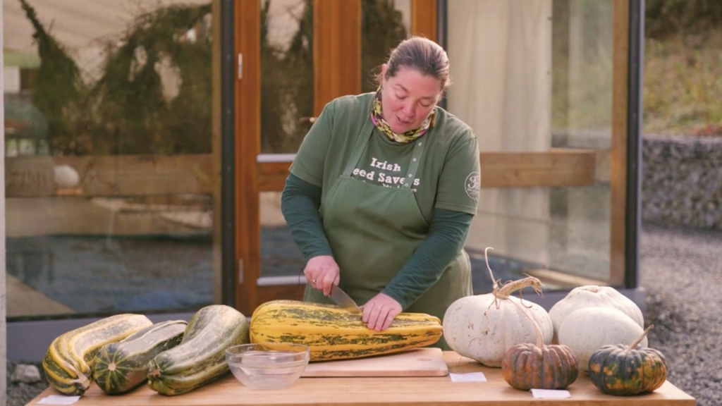 Irish organisations that support biodiversity