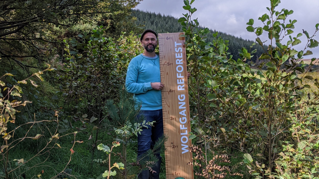 Irish organisations that support biodiversity